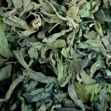 

POUCH Teh Daun Afrika / Africa Leaf Tea / Teh Herbal Alami