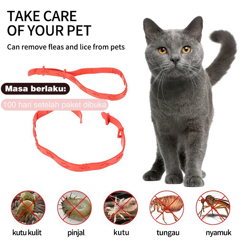 Kalung Anti Kutu Kucing - Kalung Obat Anti Kutu Kucing Kelinci Anjing Musang Flea Tick Cat Kitten