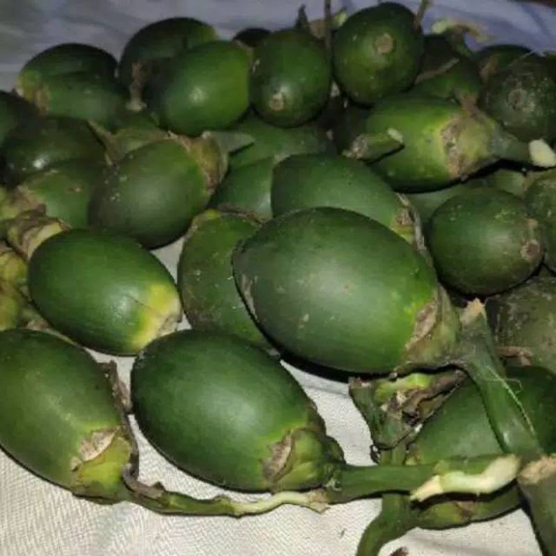 

Buah pinang muda 500 gram frees