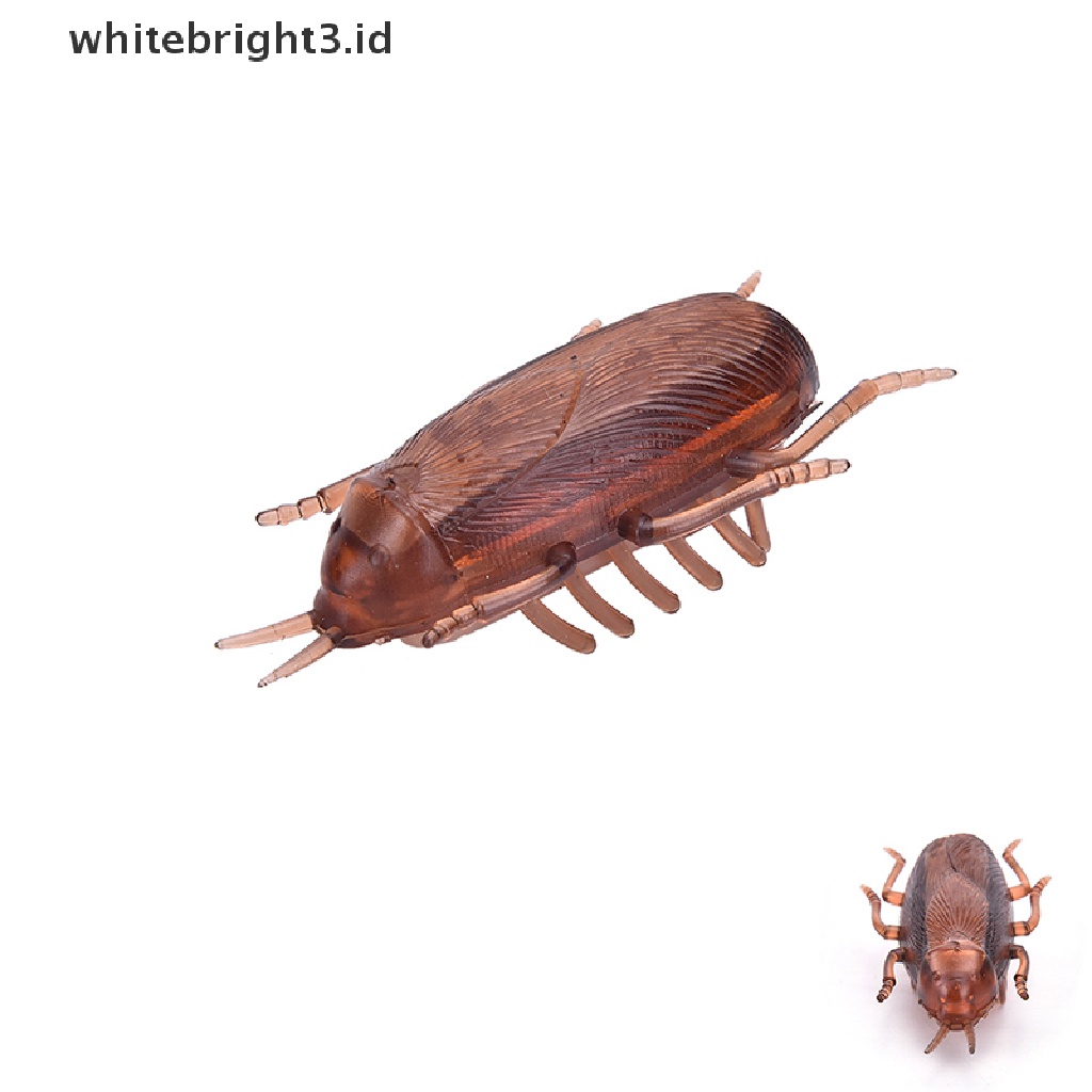 (whitebright3.id) Mainan Interaktif Kecoa Elektronik Tenaga Baterai Untuk Kucing