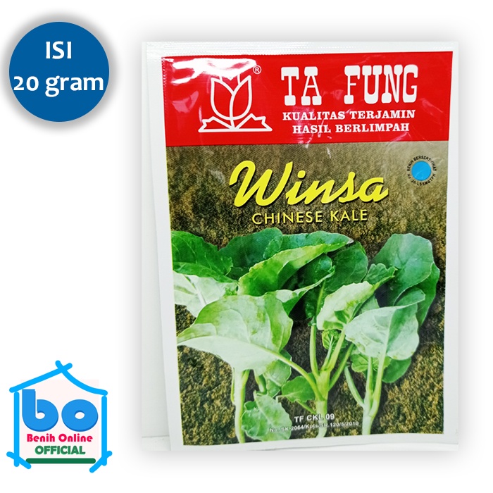 Benih Kailan WINSA Ta Fung