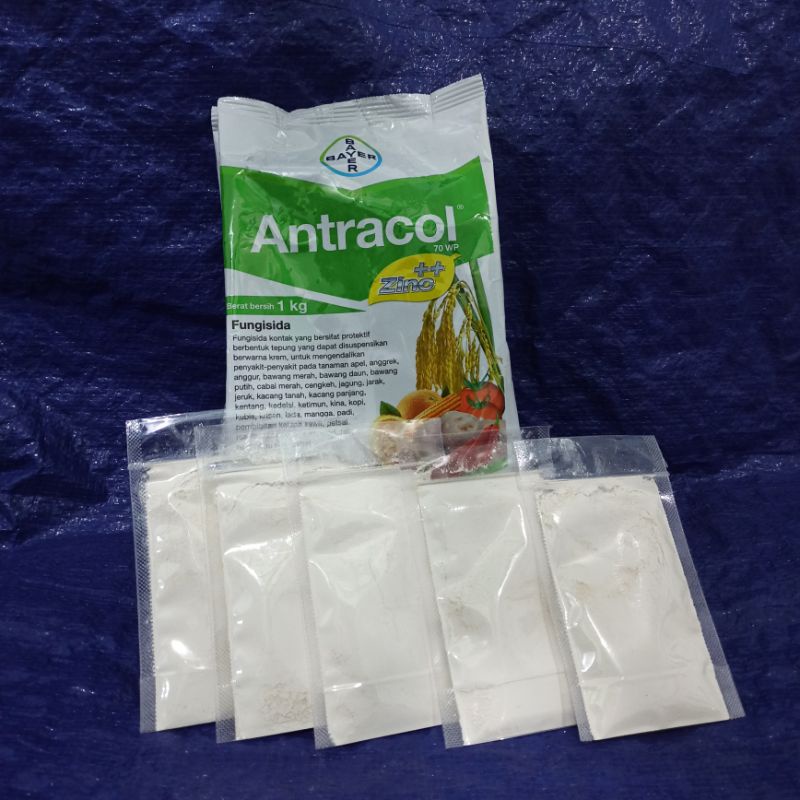 FUNGISIDA ANTRACOL 75 WP + ZINC 25 GRAM REPACK PENGENDALI JAMUR BERCAK