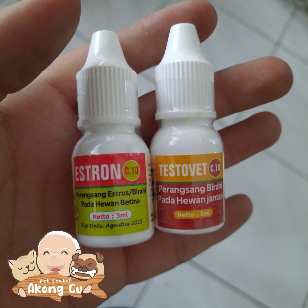 obat birahi hewan betina/jantan