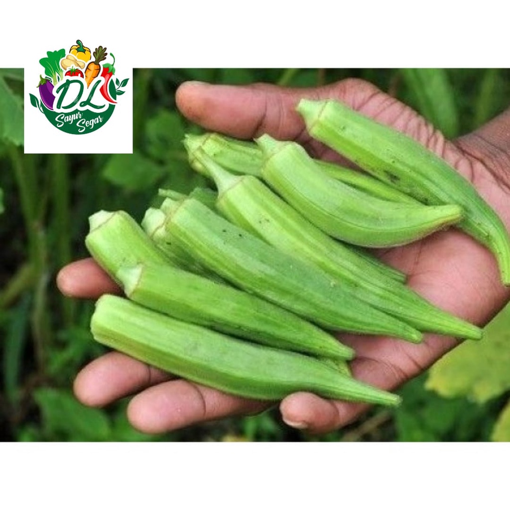 

Okra Hijau 250 gram
