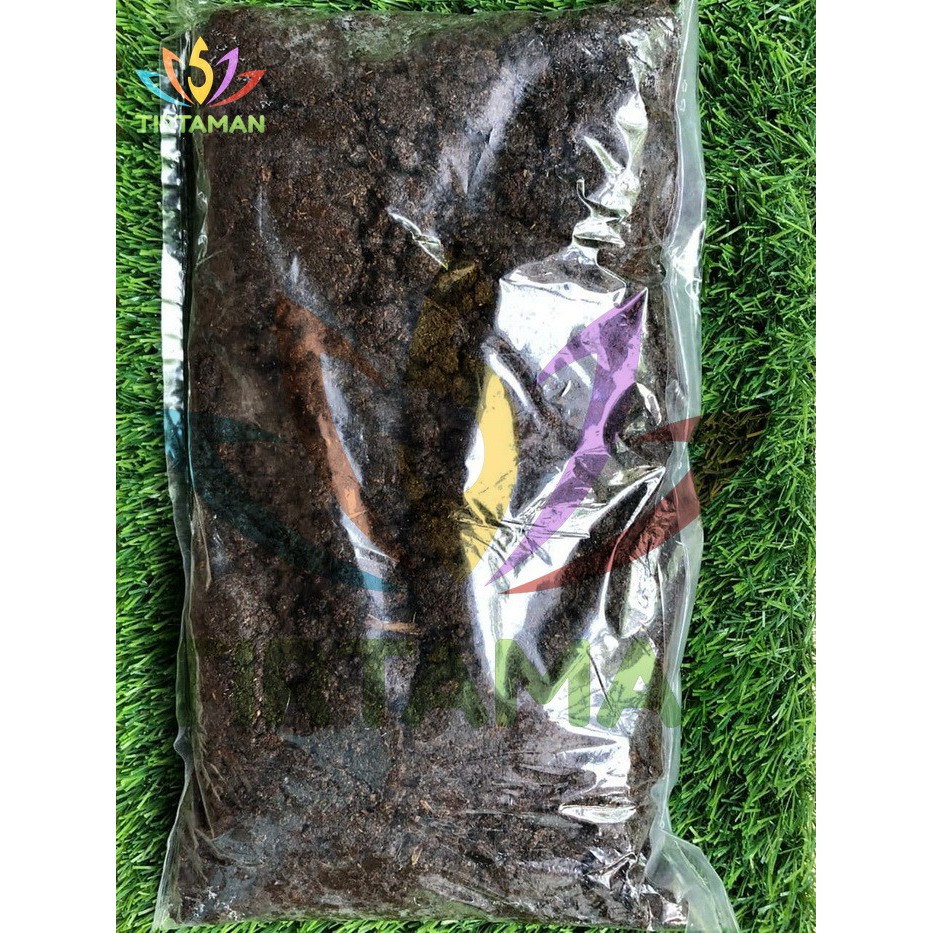 Pupuk Kompos Siap Pakai