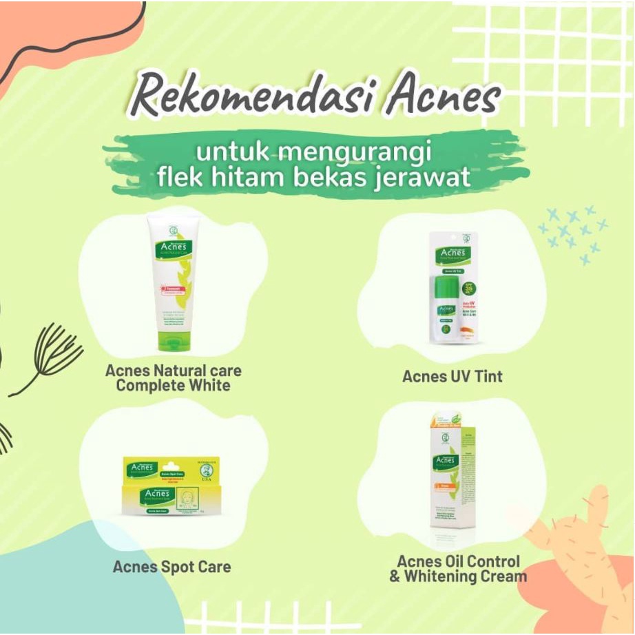 Acnes Natural Care Oil Control Series Face Wash I Milk Cleanser I Toner Wajah  I Powder Lotion I Cream Jerawat