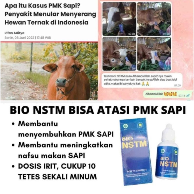 Obat PMK Sapi Nasa - NSTM Produk Nasa Asli - Obat PMK Pada Sapi dan Kambing Hewan Ternak