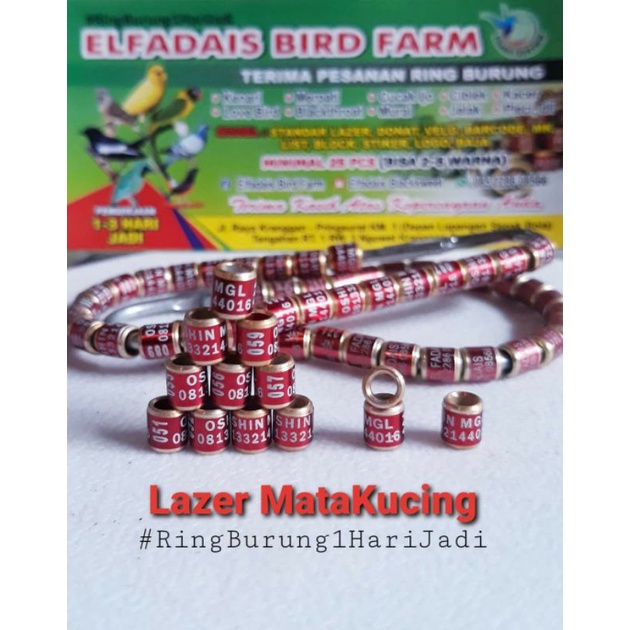 RingBurung 1Hari Jadi MK Lazer MataKucing 2Paket 50pcs 2 - 5 Warna CincinBurung Pengerjaan Cepat Bisa 50Pcs 2-5 Warna