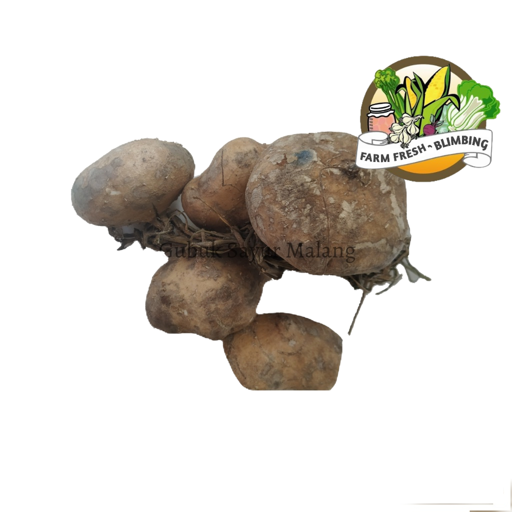 

Buah Bengkoang Fresh 500 gram