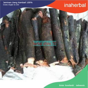 Akar Tuba/Jenu segar 1 kg organik /Akar tuba Super asli hutan