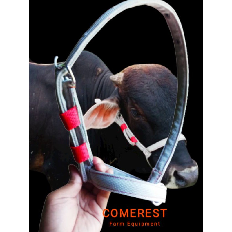 Head Halter Sapi bahan Tebal