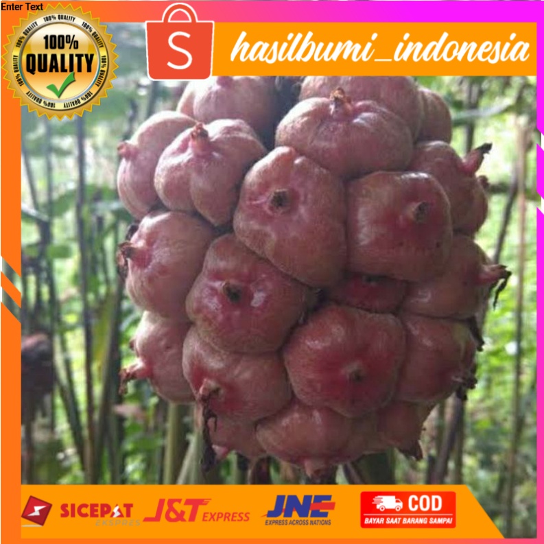

Buah honje segar 500gr ready stok