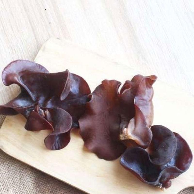 

sayuran jamur kuping segar & fresh / 100gr di warunk juni