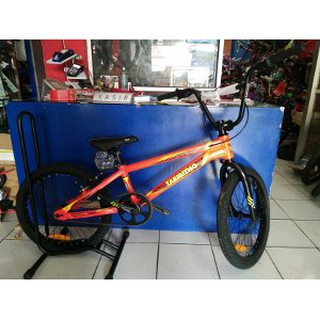 thrill mini bmx