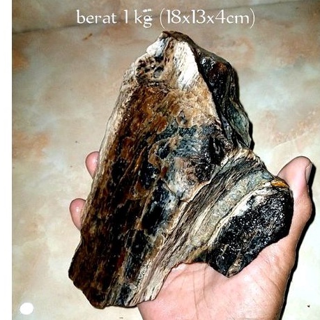batu fosil galih kelor kristal (656)
