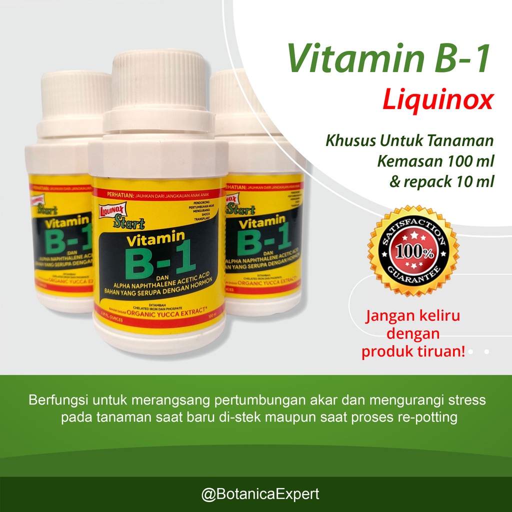 Jual Vitamin B1 Liquinox Untuk Tanaman / Pupuk Vit B-1 10ml & 100ml ...