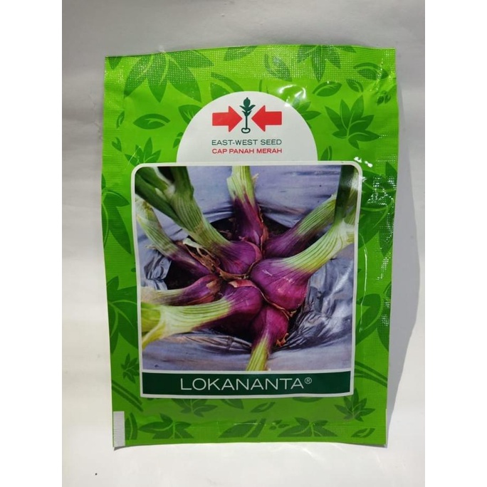 Kualitas terbaik] BENIH DAUN BAWANG LOKANANTA CAP PANAH MERAH