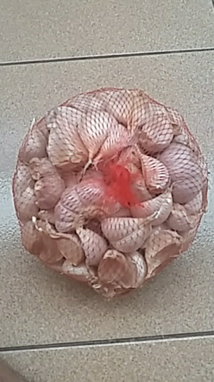 Bawang Putih Kating Harum Bersih 1 Kg