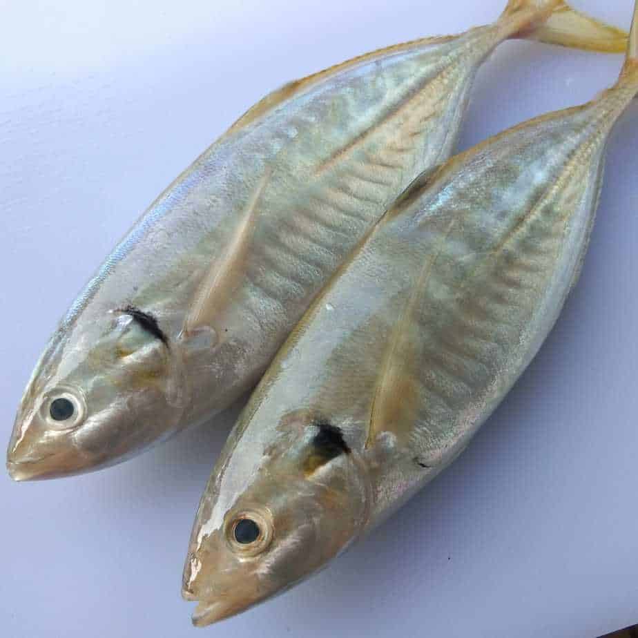 

Ikan kembung comok 1kg