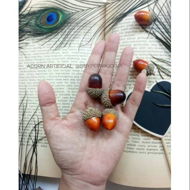 ACORN / BIJI EK ARTIFICIAL