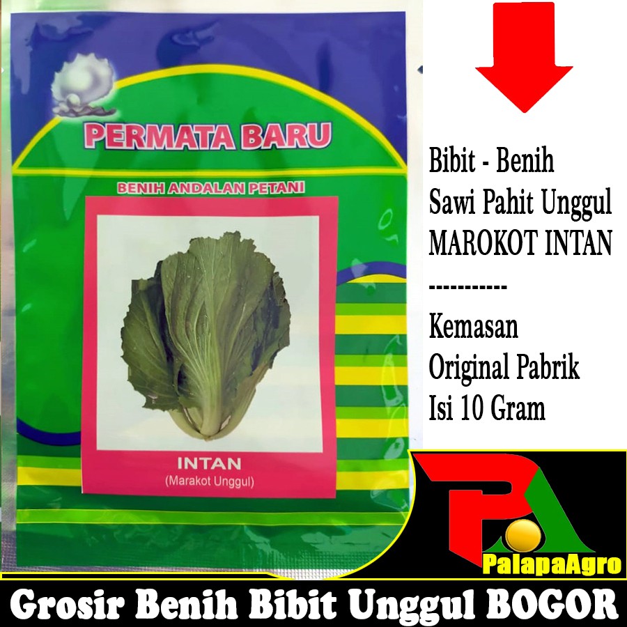Benih Sawi Pahit Marokot INTAN 10gram - Bibit Sawi Pahit Unggul
