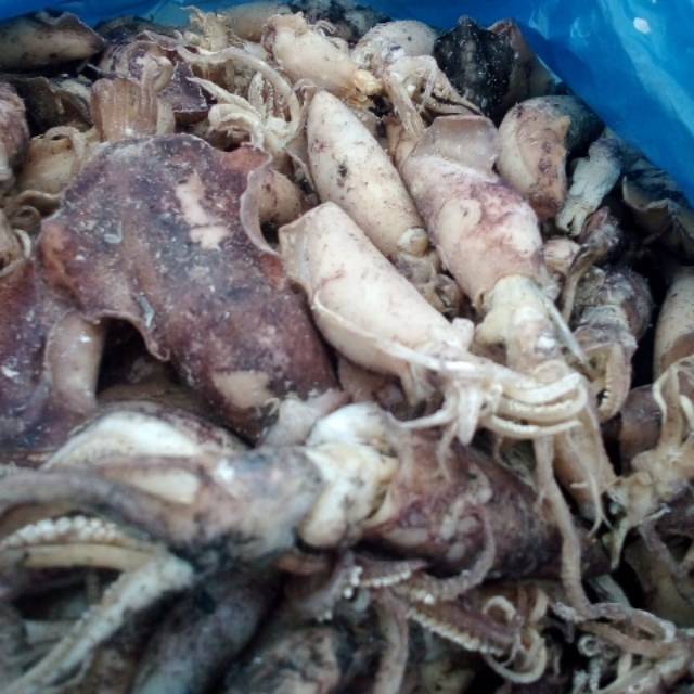 

Cumi kering