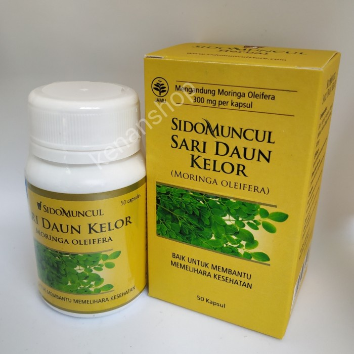 OBAT HERBAL SIDO MUNCUL - DAUN KELOR TERBARU