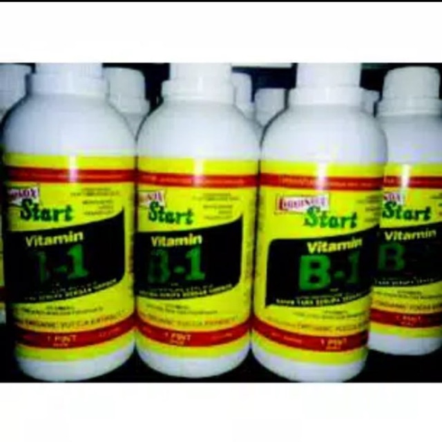 Pupuk Vit B1 Vitamin-B1 Liquinox 470 Ml