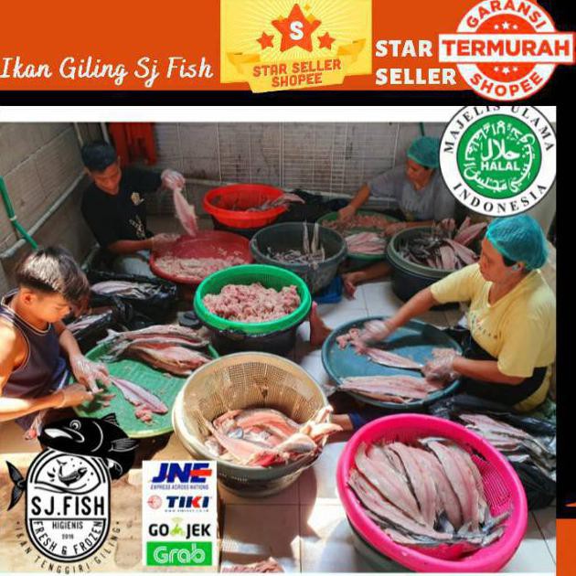 

( BISA COD ) IKAN TENGGIRI GILING SJ FISH BERMUTU [Kode 1|Kode 2|Kode 3|Kode 4|Kode 5|Kode 6|Kode