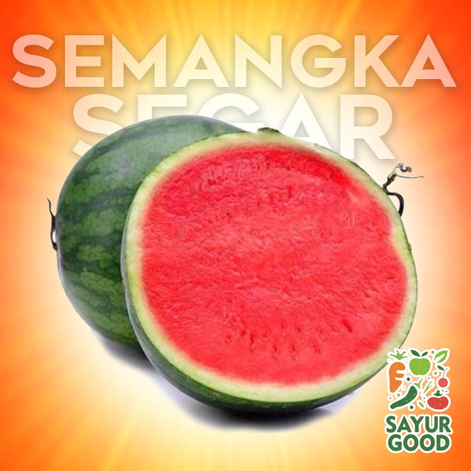 

Semangka Segar / Buah Semangka Segar / Watermelon / 1 Buah