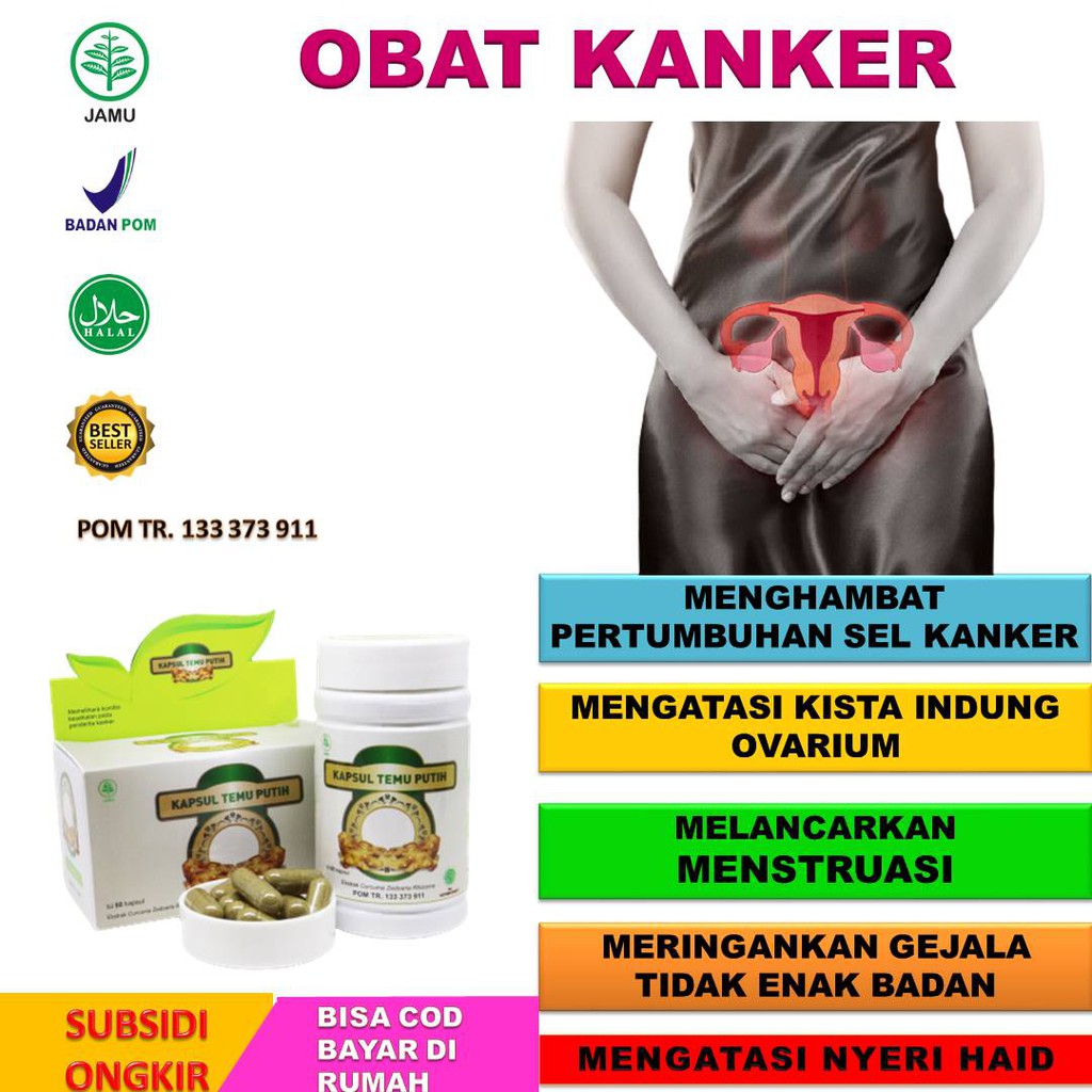 Obat Kanker Kapsul Temu Putih 60 Kapsul / Obat Kanker Payudara Ampuh / Obat Kanker Dan Tumor / Obat 