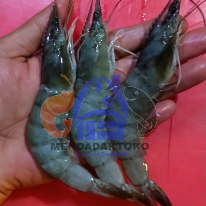 Jual Udang Vaname Size Besar Ak 25 30 Ikan Laut Segar Seafood