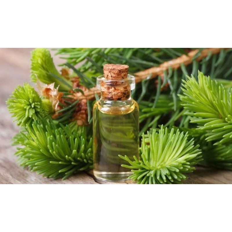 CEDARWOOD OIL 100% PURE