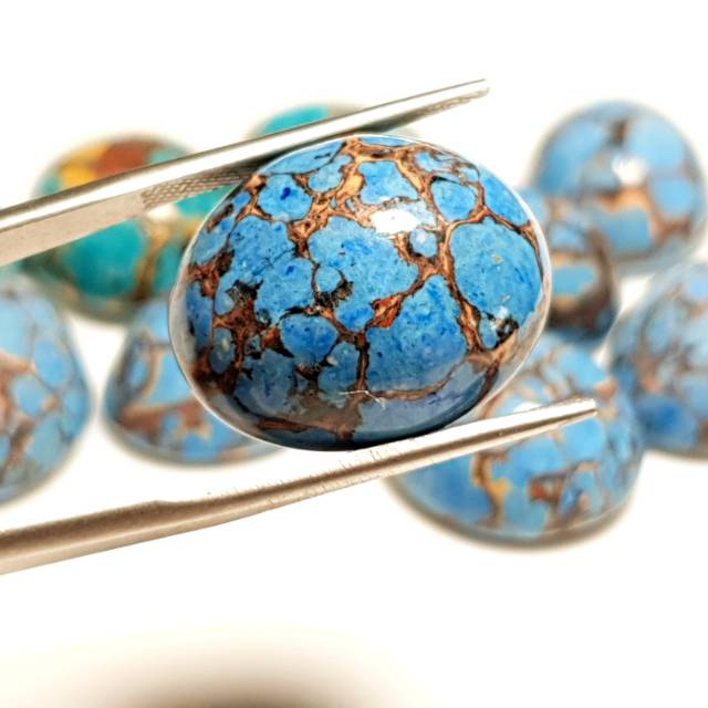 TERBARU Natural pirus Sinciang