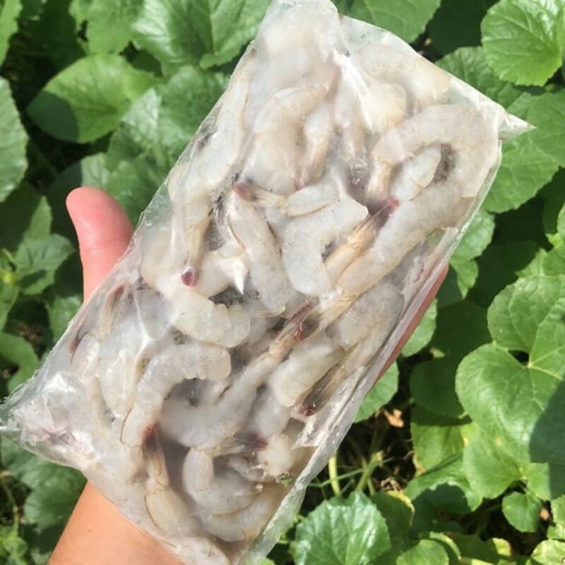 

UDANG FRESH (BERKULIT 500gr / KUPAS 250gr)