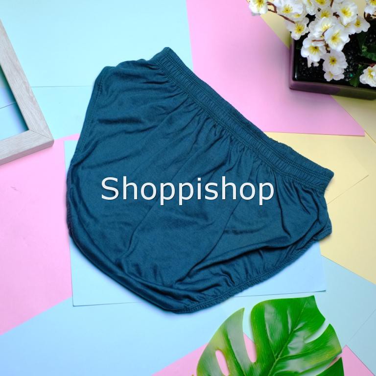 Celana Dalam Dalem CD Pria Lusinan INDOTEX Size M L XL 3L 4L 5L