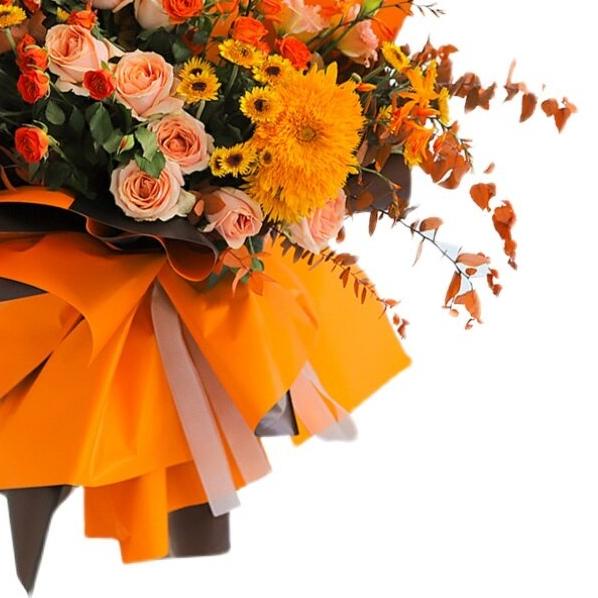 

♚ (20 LEMBAR) Bi Color Doff Matte Double Dua Warna Flower Wrapping Cellophane Kertas Kado 58*58cm (Min 10pcs) ✴