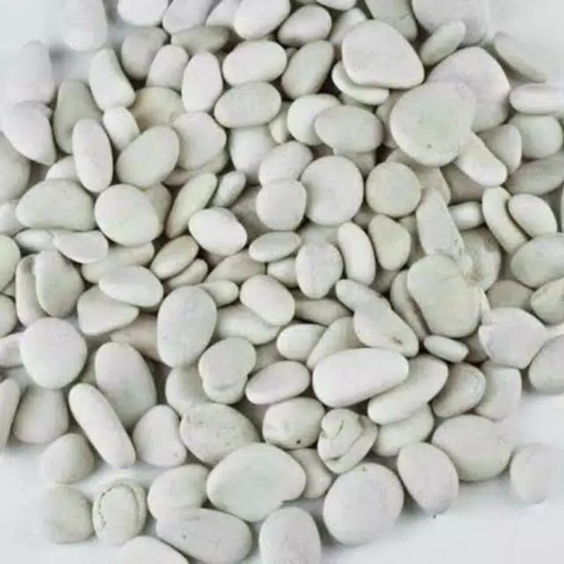 Batu Koral UK (S) hias putih 500gram