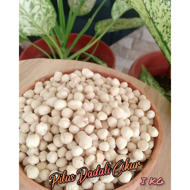 

PILUS CIKUR KILOAN ORIGINAL/PEDAS - 1KG