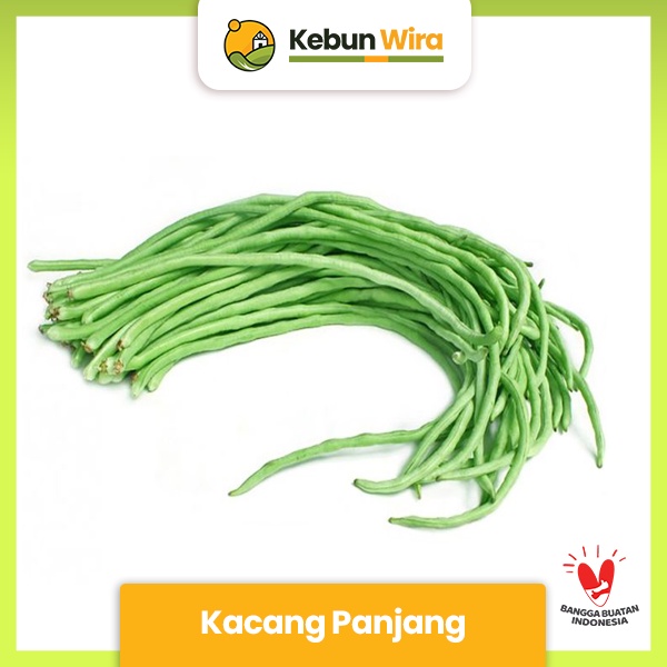 

Kacang Panjang | Long Bean