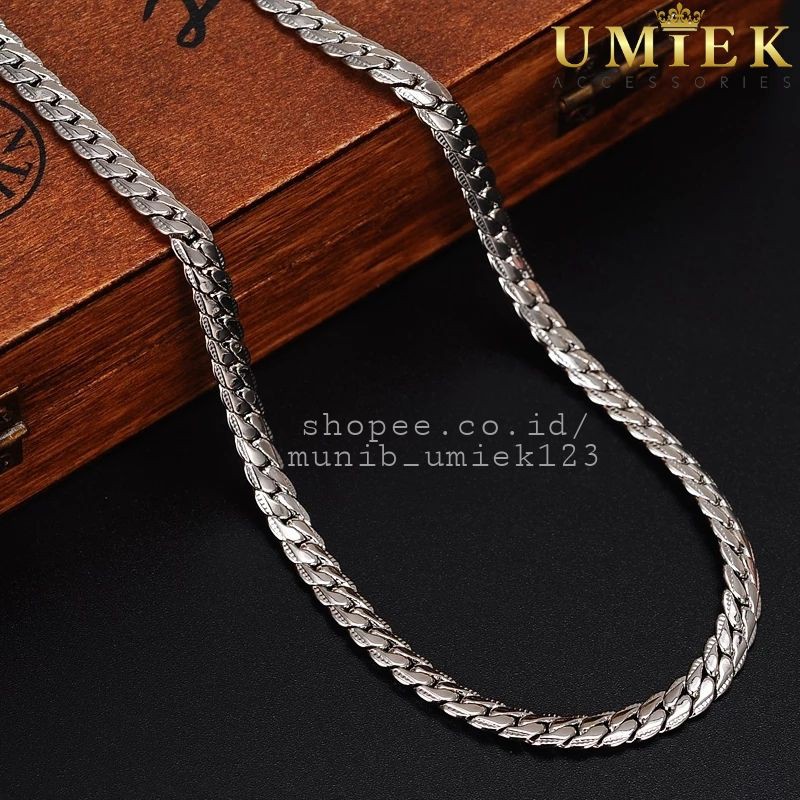 Kalung Pria Wanita Titanium Rantai asli sisik naga silver putih perak Rante cowok cewek keren anti