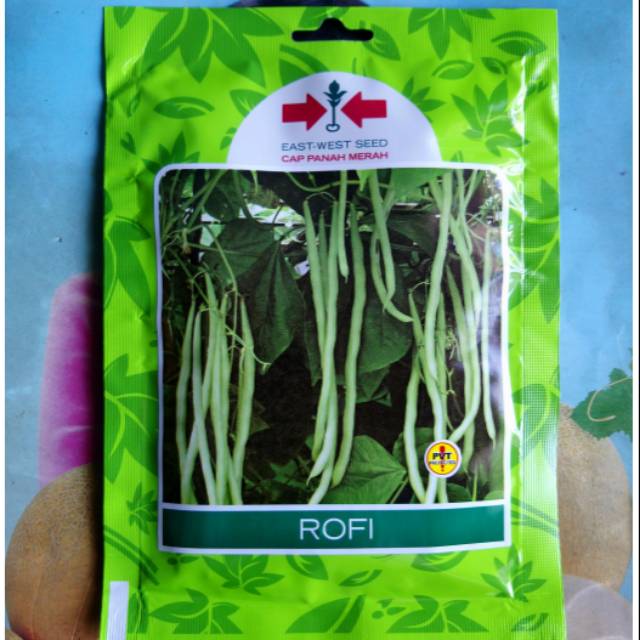 Benih Bibit Buncis ROFI 225bj