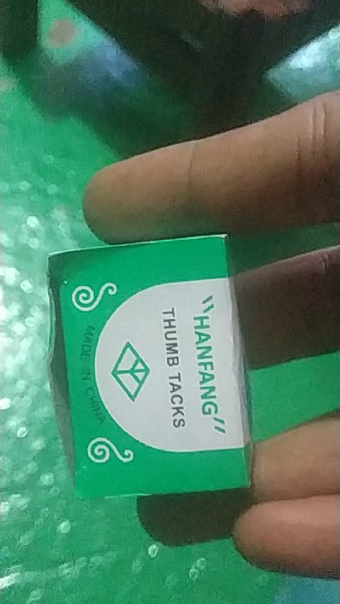 Paku Payung Kecil Paku Pines Paku Jaring Nyamuk Paku Karpet Paku Kecil