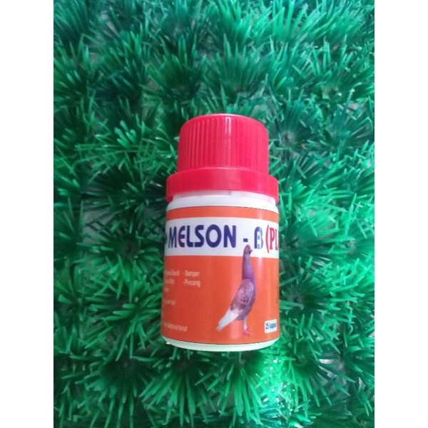 MELSON -B (PLUS) CIDERA MERPATI BARON