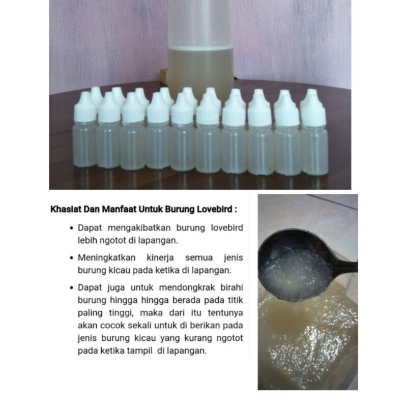 

100% ECES WALET MURNI ASLI KENTAL