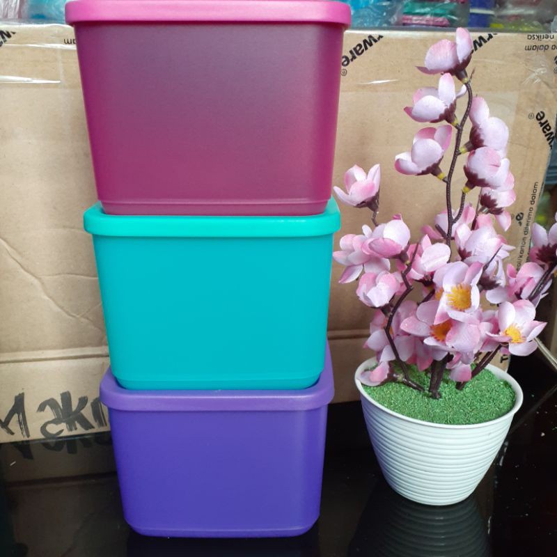 Tupperware Medium Tropical Fiesta medium summer