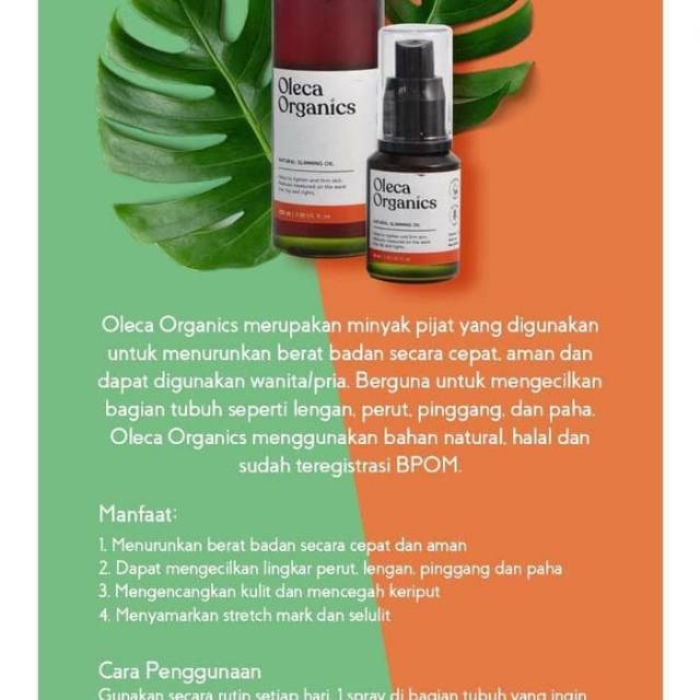 Oleca Organics 30ml / 100ml Natural Slimming Oil - Minyak Pijat Pelangsing 30 ml / 100 ml