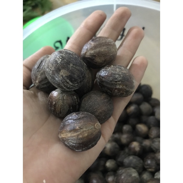 

Pala Rempah 100 gr