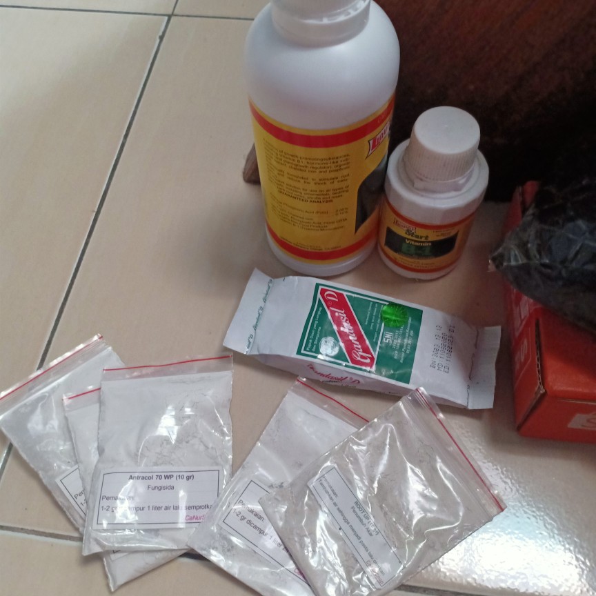 Antracol 10 Gram (repack)