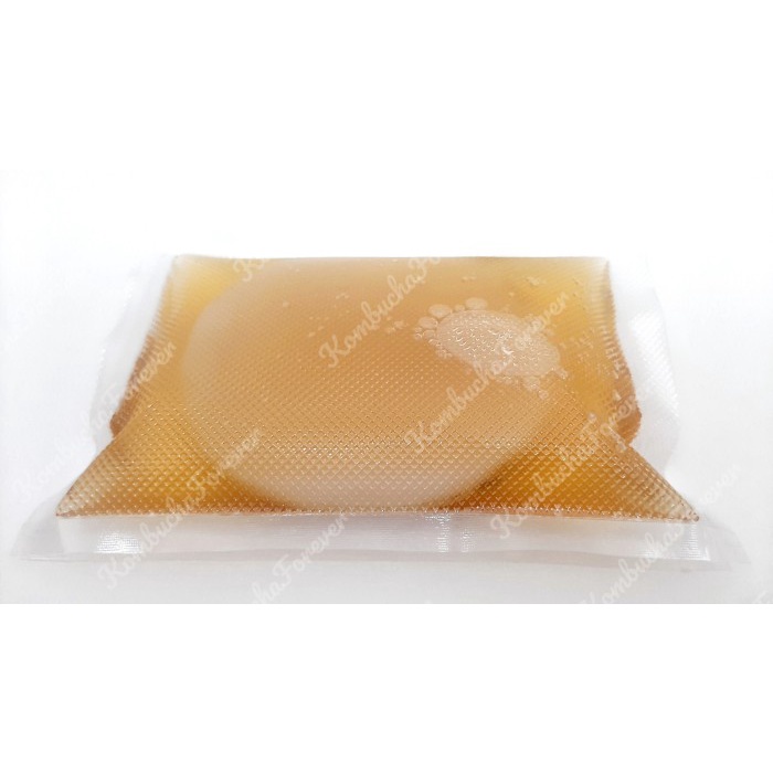 

MINUM-SIAP-DRINK-TO-READY- BIBIT SCOBY JAMUR KOMBUCHA D 8,5-9 CM TEBAL 2-3 CM PREMIUM ORGANIK